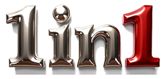 1in1 logo